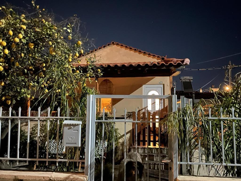 Agapi Home Agios Spyridon  المظهر الخارجي الصورة